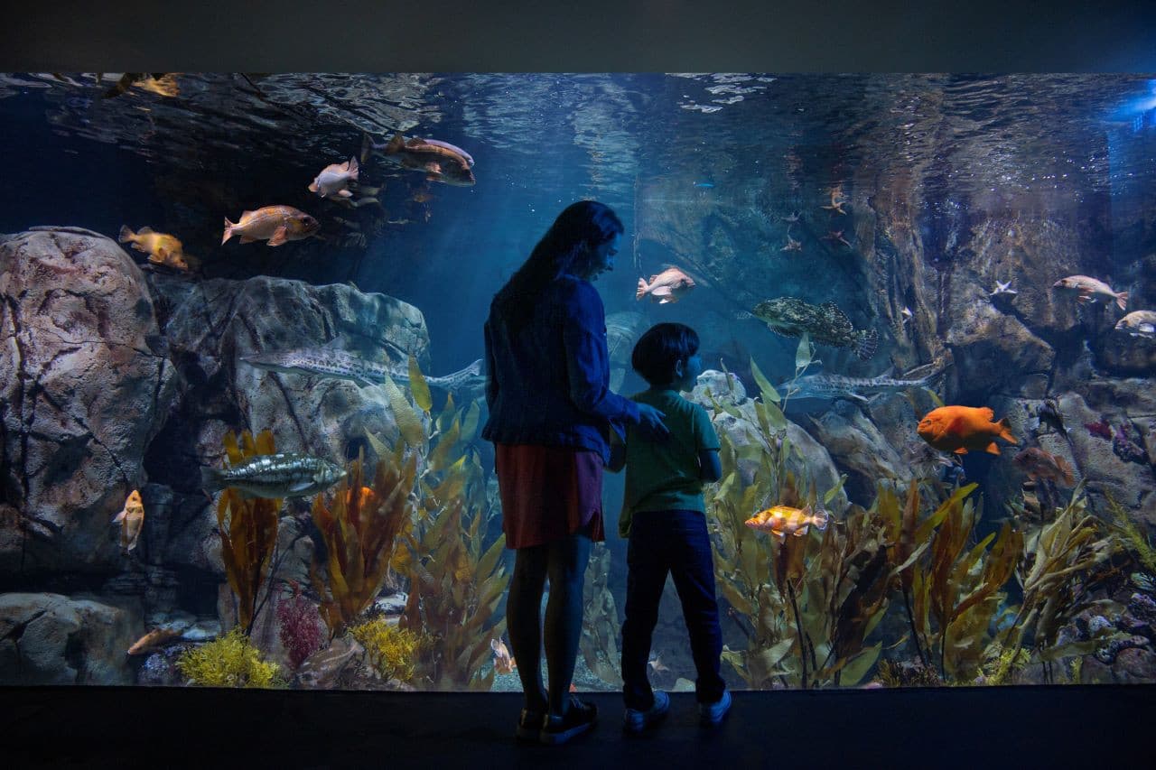 Go City Los Angeles All-Inclusive Pass: Save up to 50% on Attractions