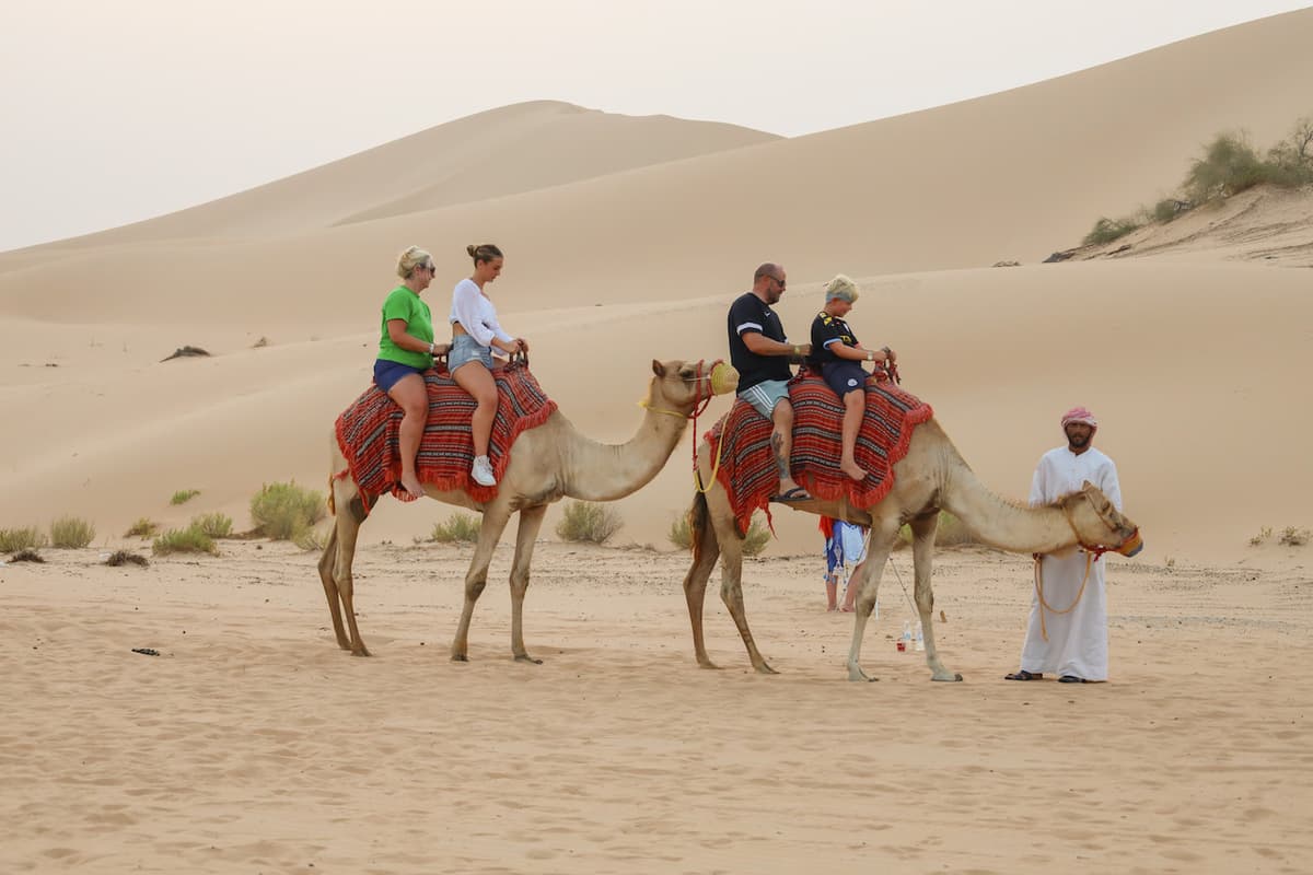Desert Safari Tour from Abu Dhabi