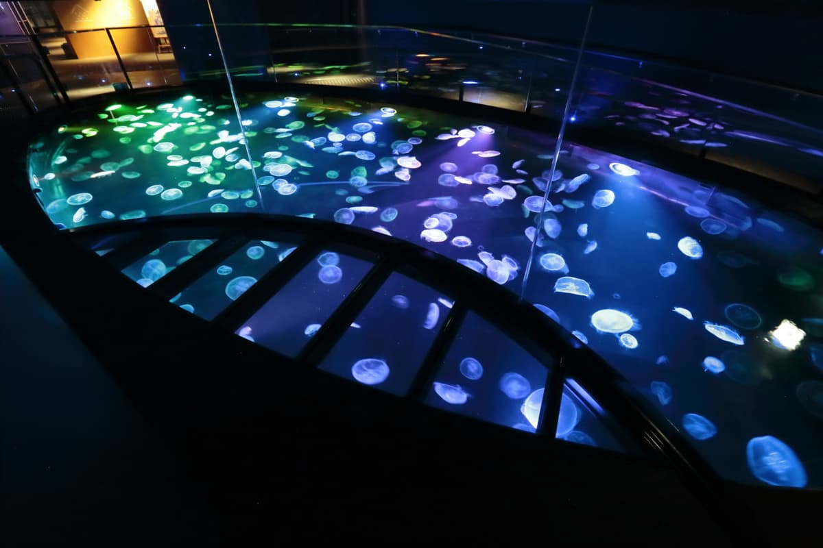 COMBO: Tokyo Skytree + Sumida Aquarium