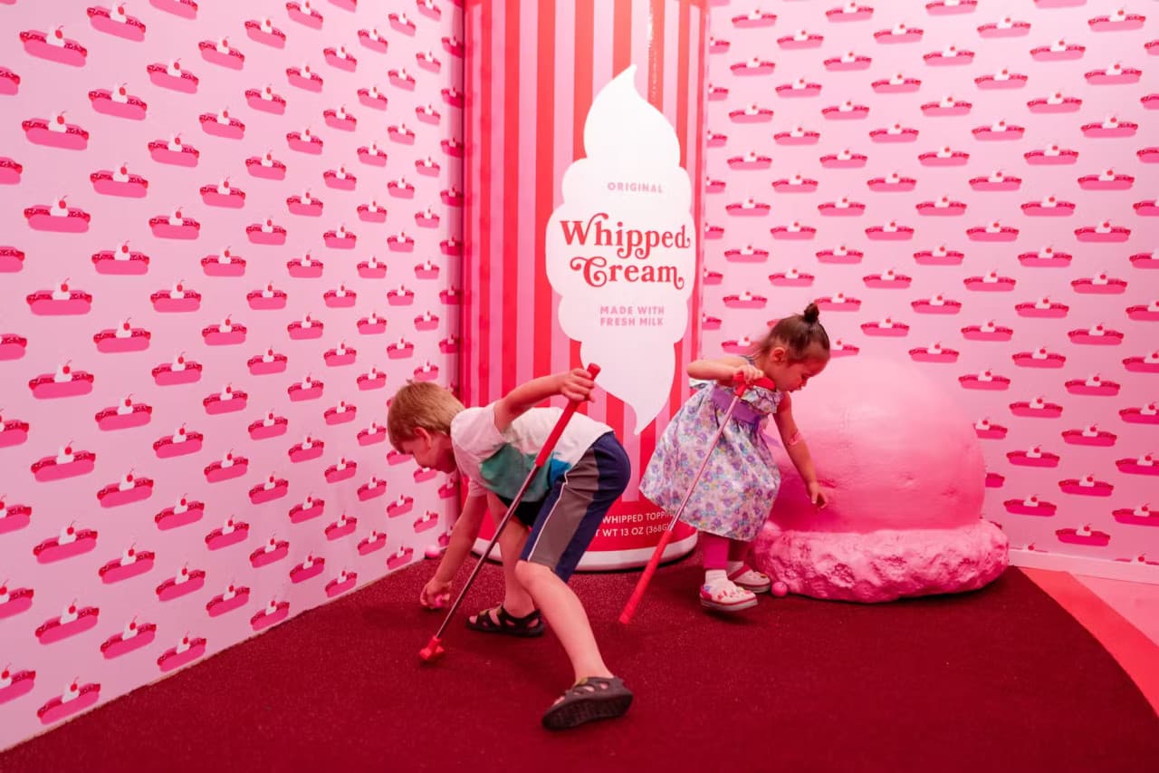 Museum of Ice Cream Chicago Ticket