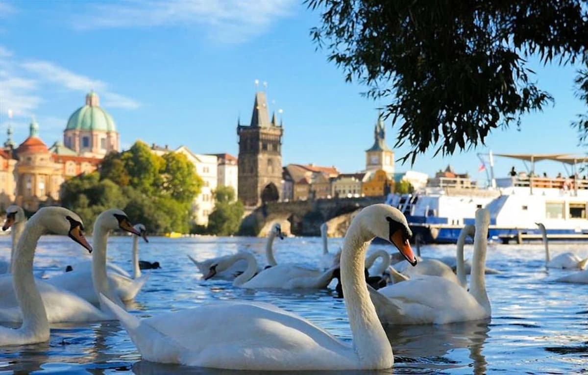 Prague River Cruise