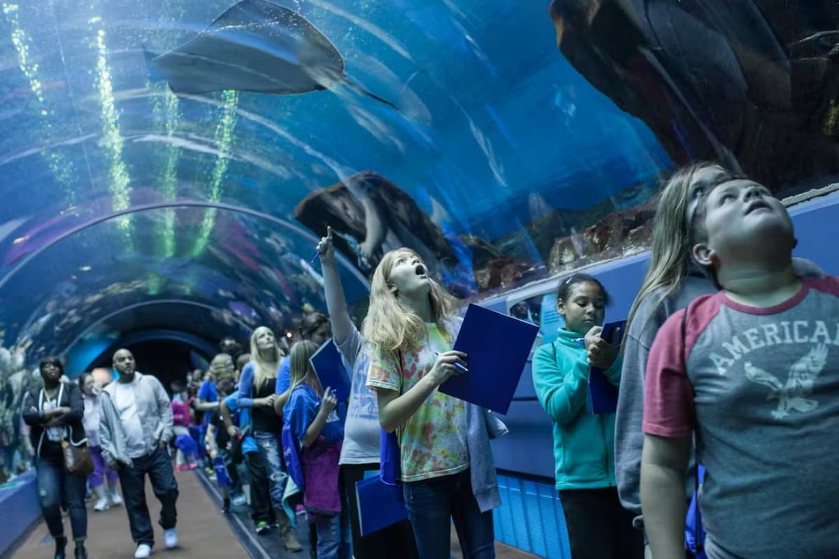 Georgia Aquarium: Fast Track Ticket