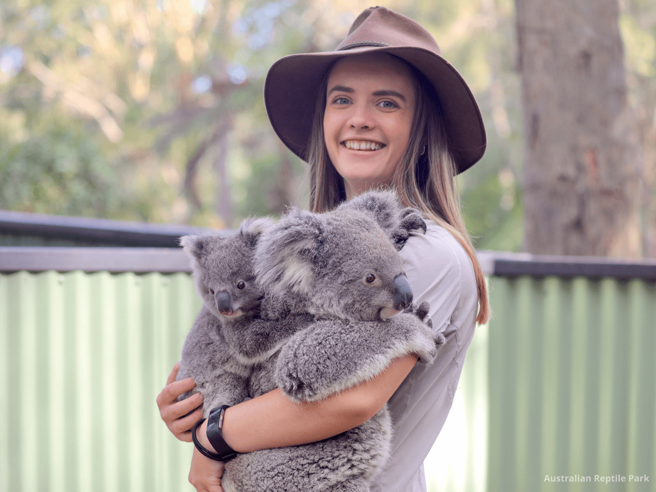 Australian Reptile Park – photo 17