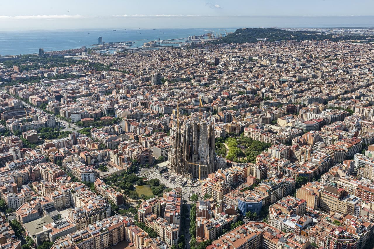 Sagrada Familia Ticket with Optional Tower Access