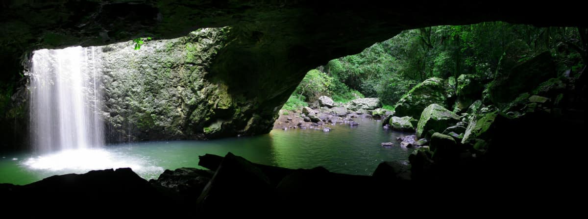 Springbrook National Park Tour: Natural Bridge and Waterfalls