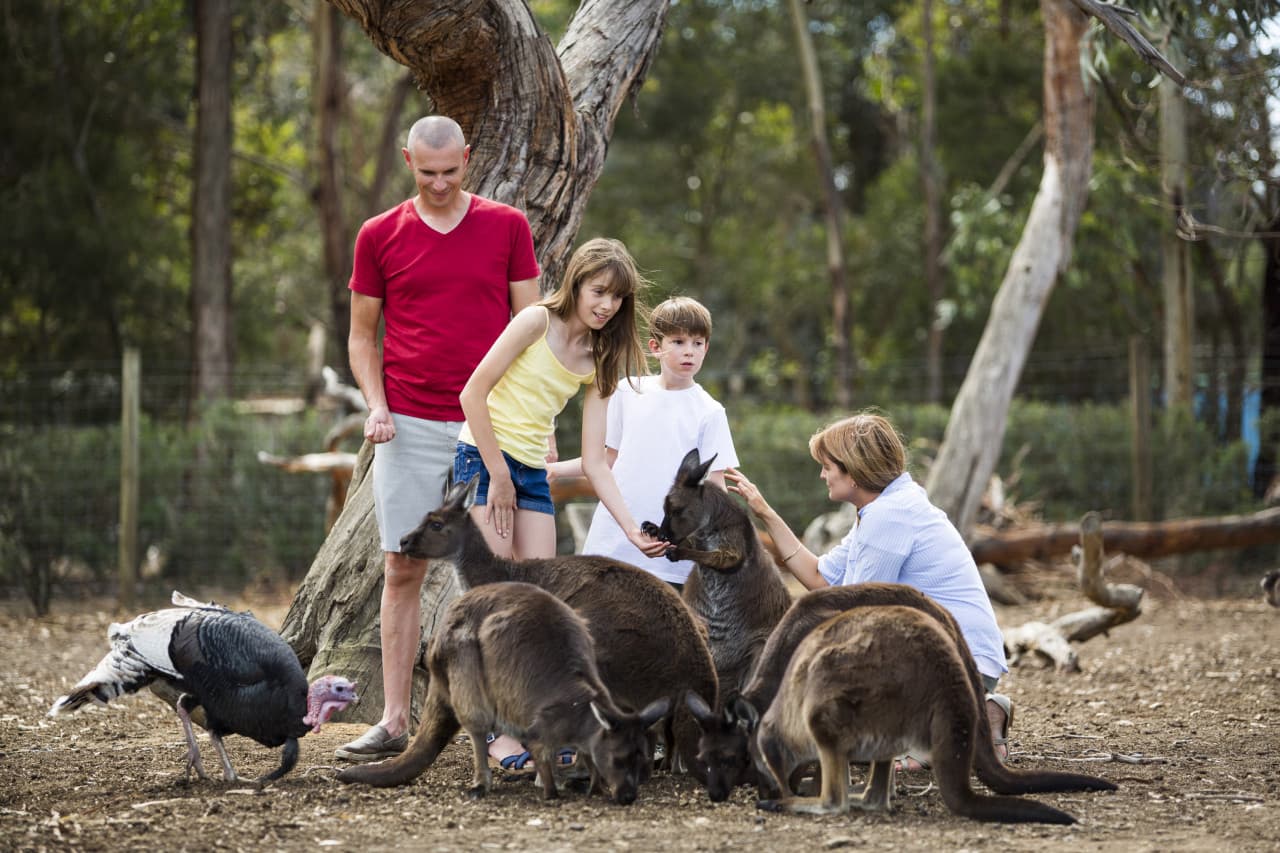 Kangaroo Island Tour from Adelaide – photo 2