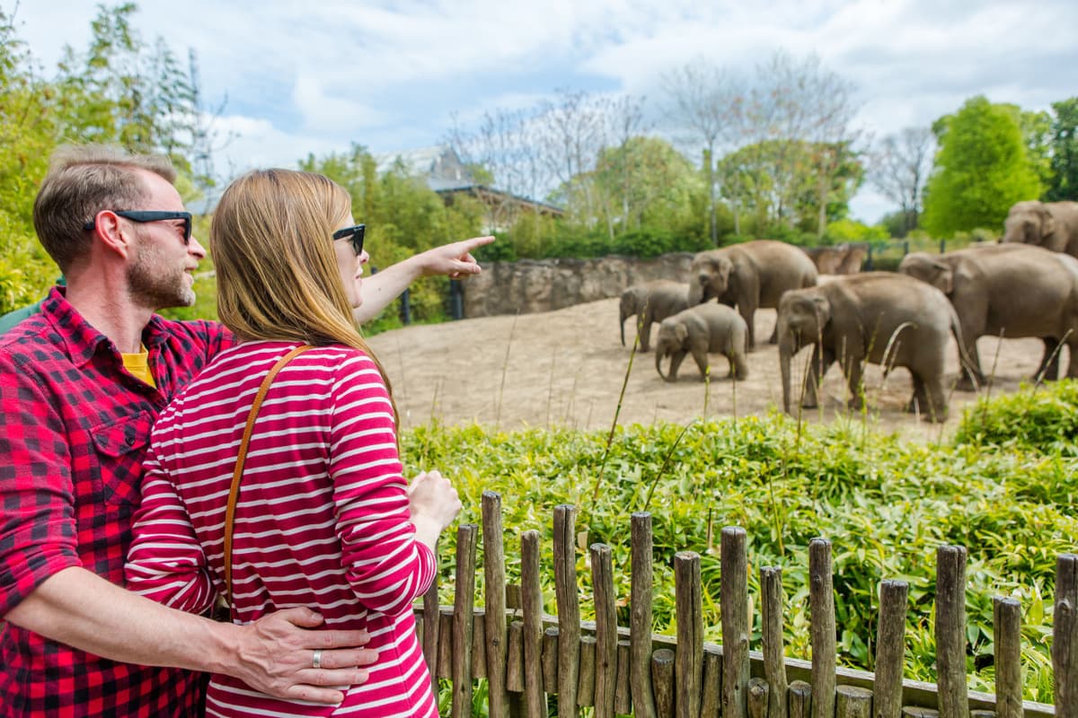 Go City Dublin Explorer Pass: Save up to 50% on Attractions