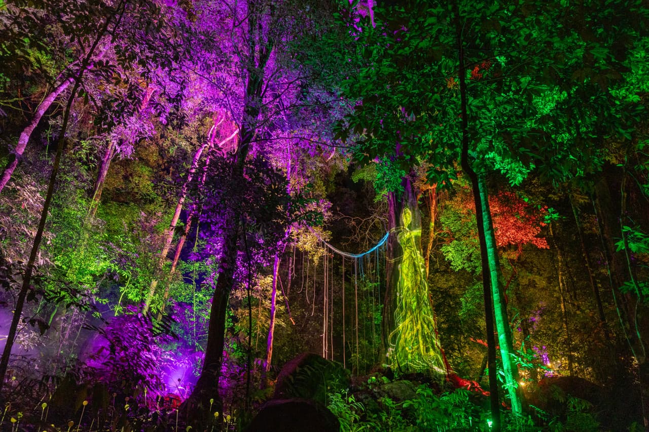 Dream Forest Langkawi – photo 3