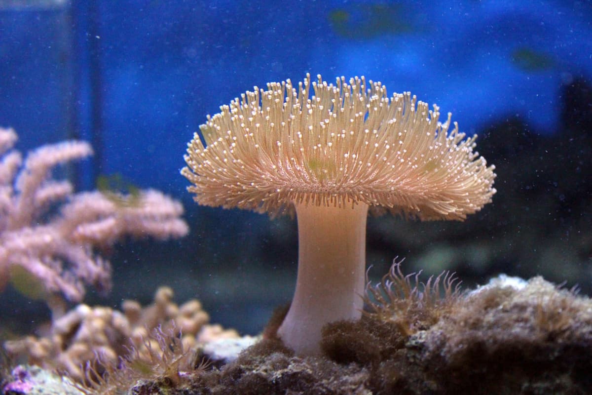 Yehliu Ocean World