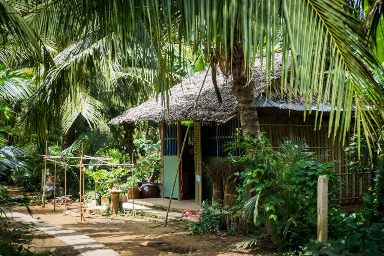 Mekong Delta, Cai Be, and Tan Phong Island Full-Day Tour from Ho Chi Minh – photo 3