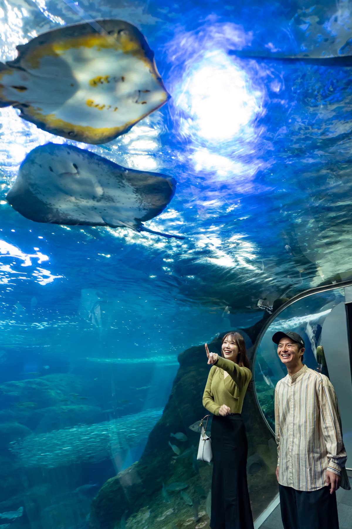 Enoshima Aquarium