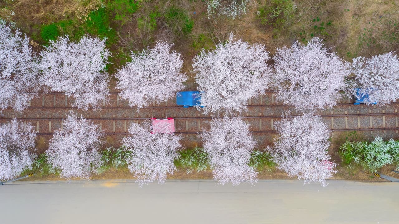 Nami Island, Mount Seorak, and Gapyeong Rail Bike Full-Day Tour from Seoul – photo 16