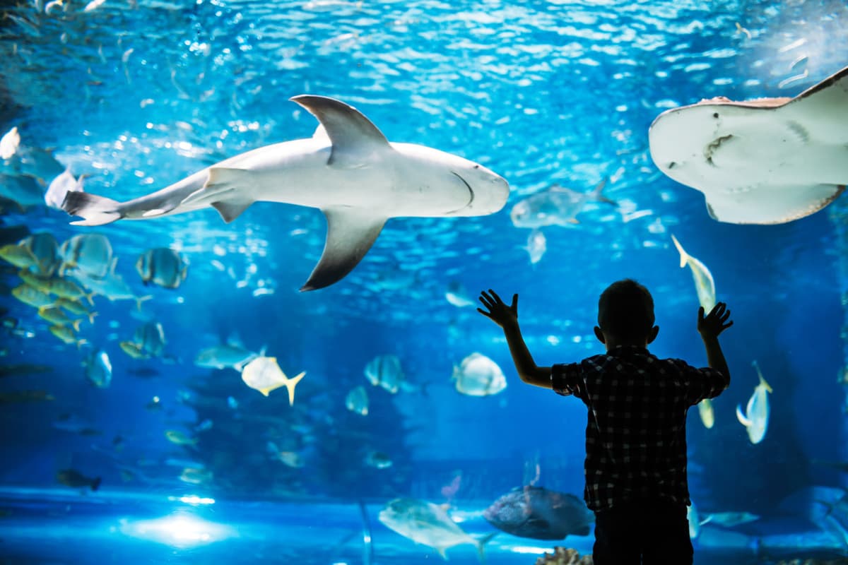 Go City Philadelphia Explorer Pass: Save up to 50% on Attractions