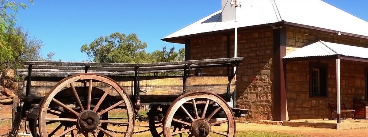 Alice Springs Reptile Centre and City Tour