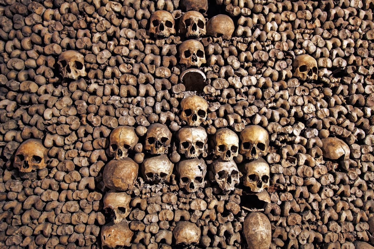 The Paris Catacombs - Skip-the-line with Audio Guide – photo 3