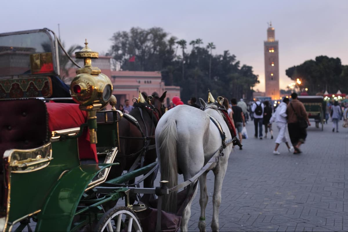 Marrakech Tour: Koutoubia Mosque, El Bahia Palace, Menara Gardens, Djemaa El Fna Square