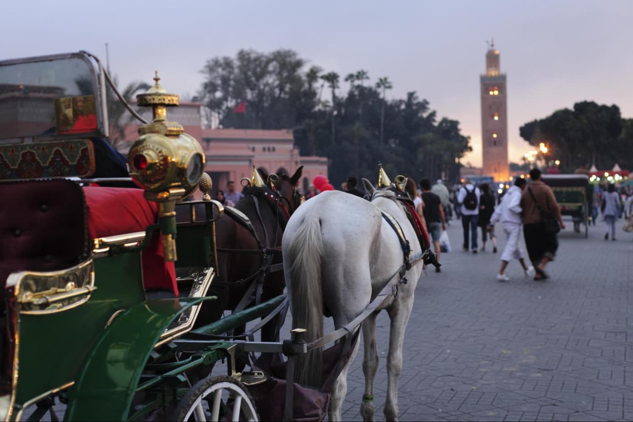 Marrakech Tour: Koutoubia Mosque, El Bahia Palace, Menara Gardens, Djemaa El Fna Square