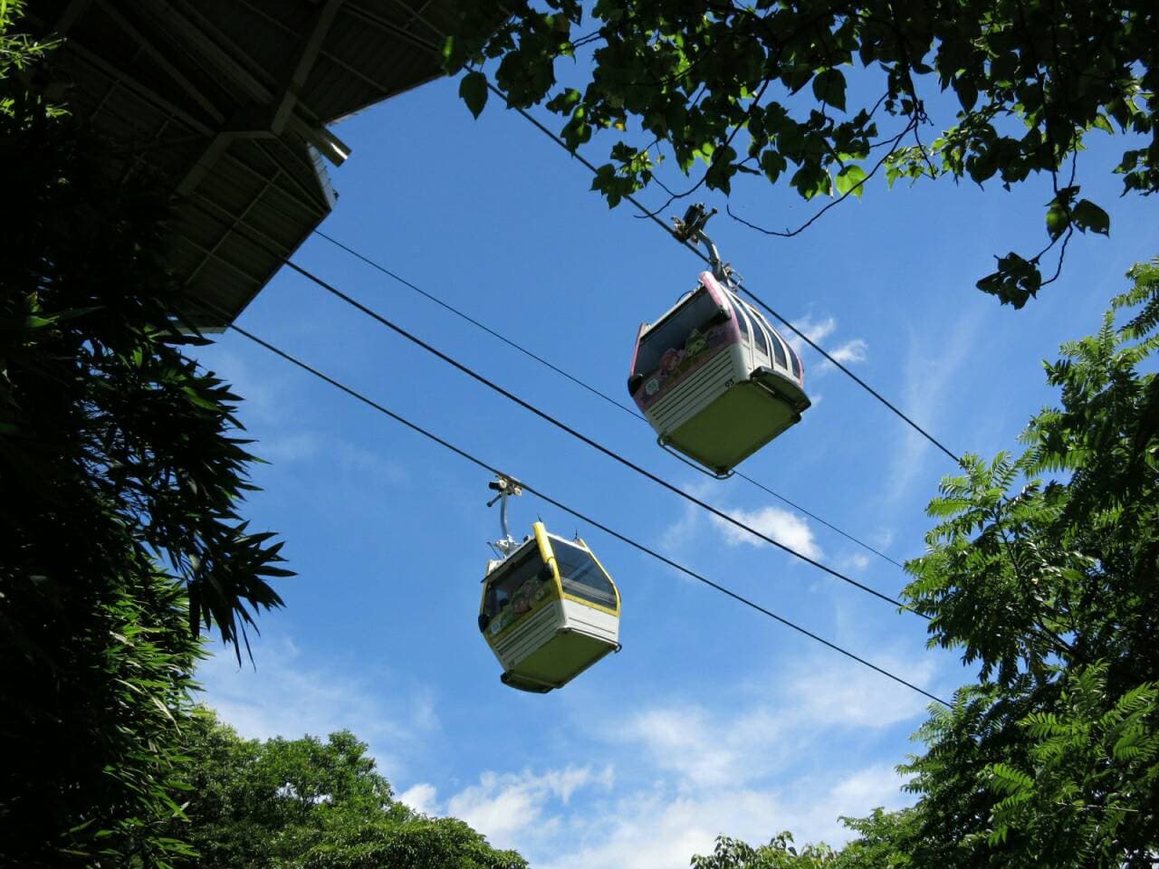 COMBO: Taipei Zoo + Maokong Gondola
