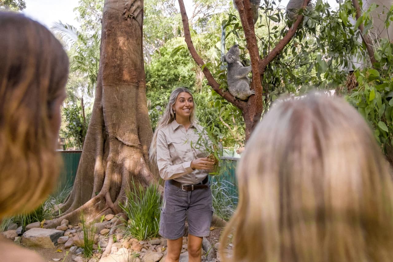 Currumbin Wildlife Sanctuary Ticket – photo 8