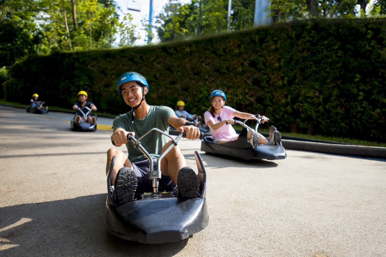 COMBO: Skyline Luge Singapore + Gardens by the Bay Ticket – photo 8