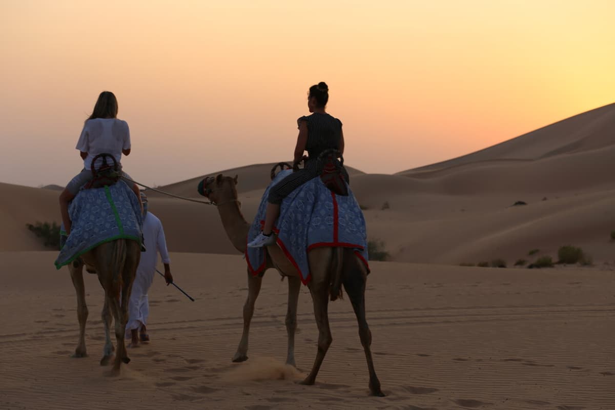 Premium Evening Desert Safari Tour from Dubai with BBQ Dinner