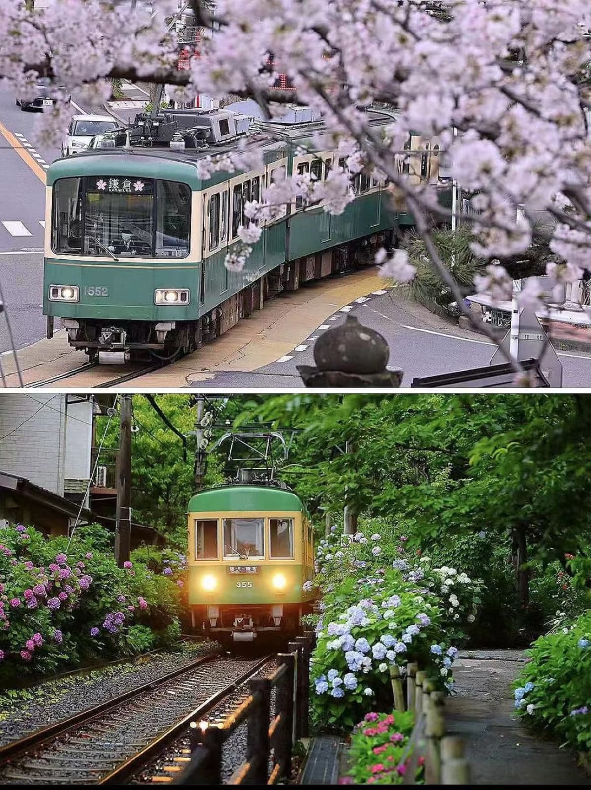 Kotoku-in Temple and Enoshima Day Tour from Tokyo