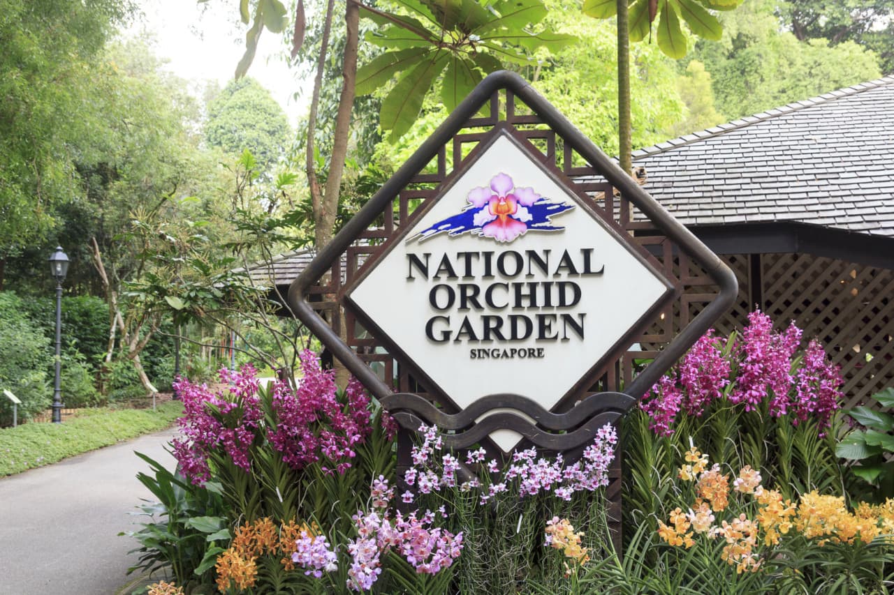 COMBO: Gardens by the Bay + National Orchid Garden Ticket