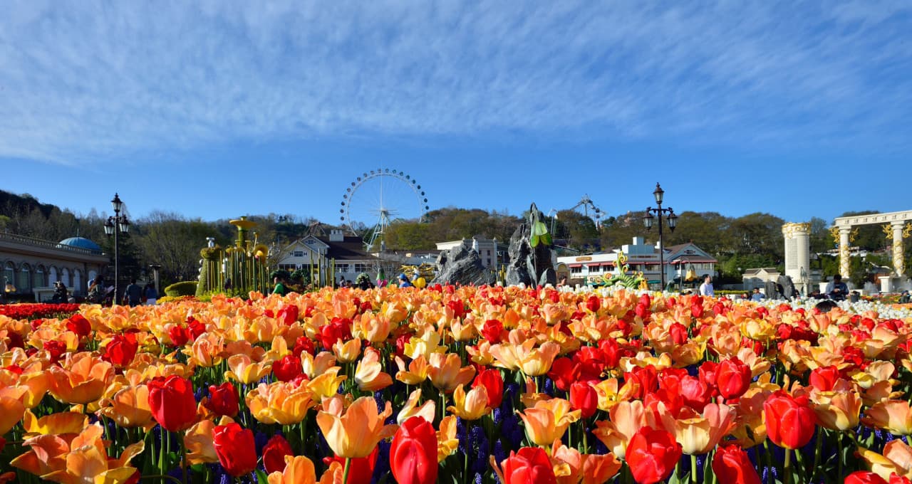 Everland Theme Park Ticket – photo 16
