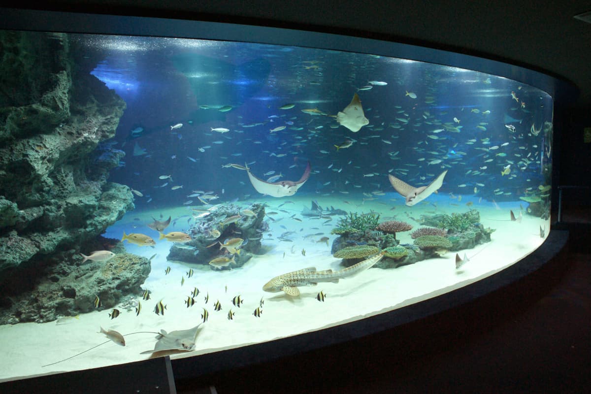 Tokyo Sunshine Aquarium