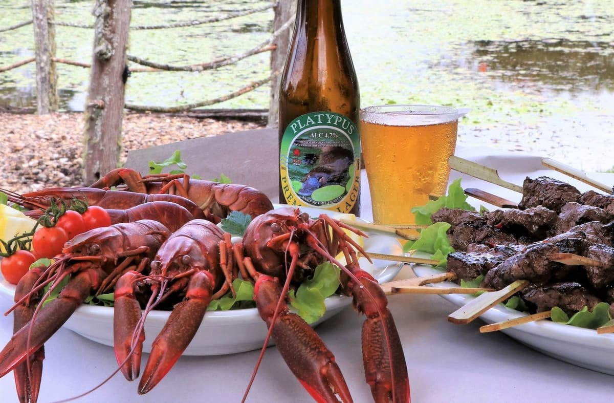 Australian Outback Food and Wine Tasting Tour from Cairns and Northern Beaches