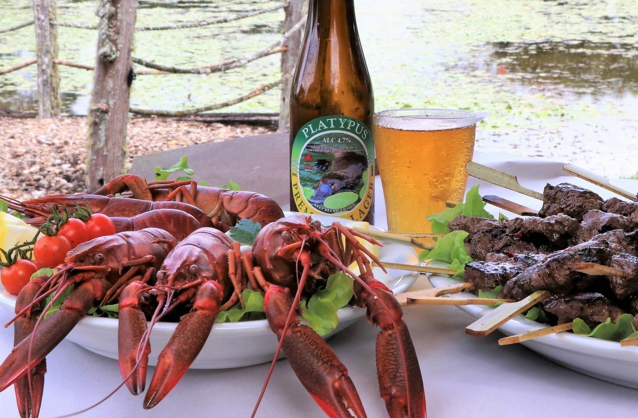 Australian Outback Food and Wine Tasting Tour from Cairns and Northern Beaches