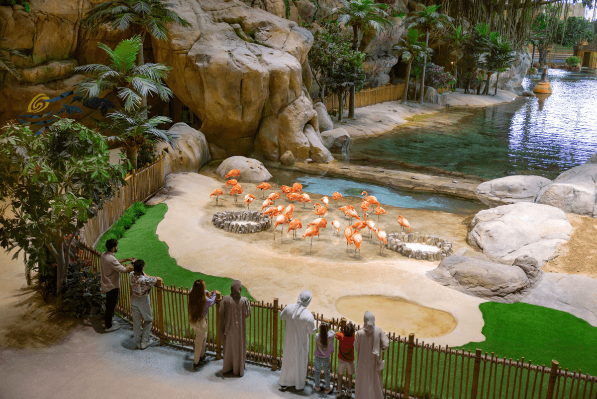 SeaWorld Abu Dhabi Ticket