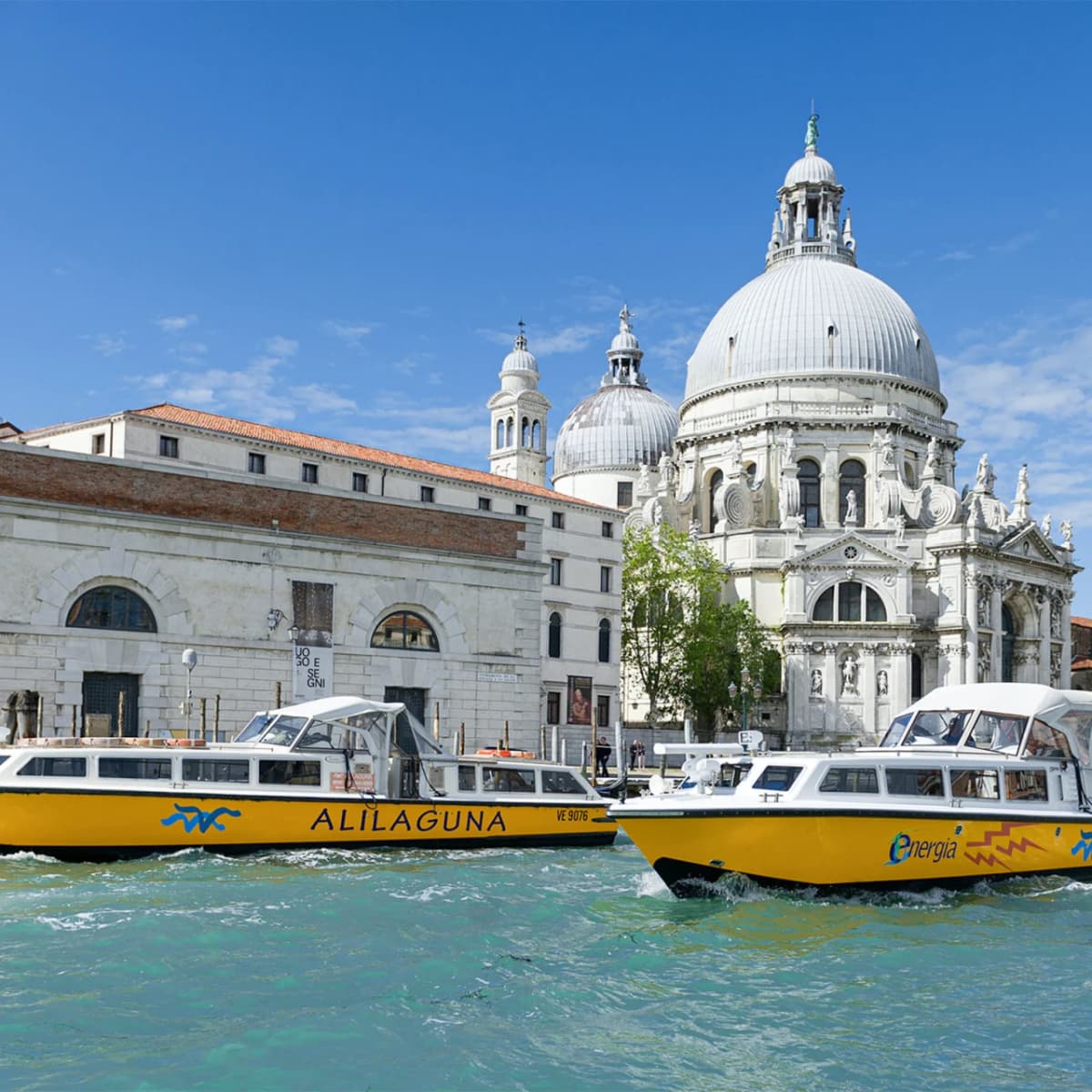 Venice Marco Polo Airport Alilaguna Waterbus Transfers