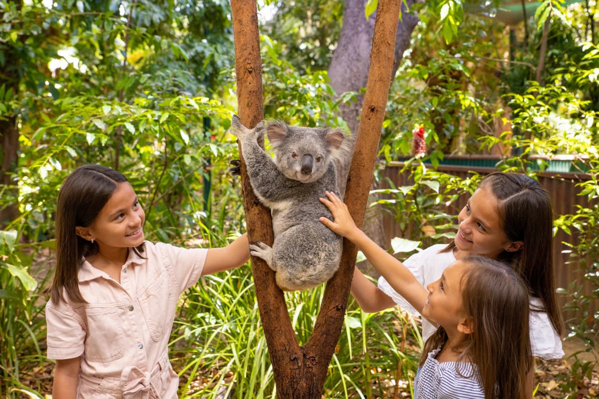 Currumbin Wildlife Sanctuary Ticket