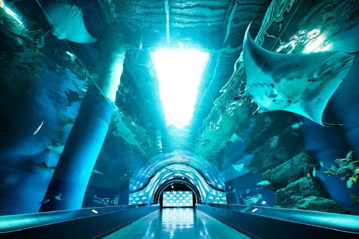 Maxell Aqua Park Shinagawa
