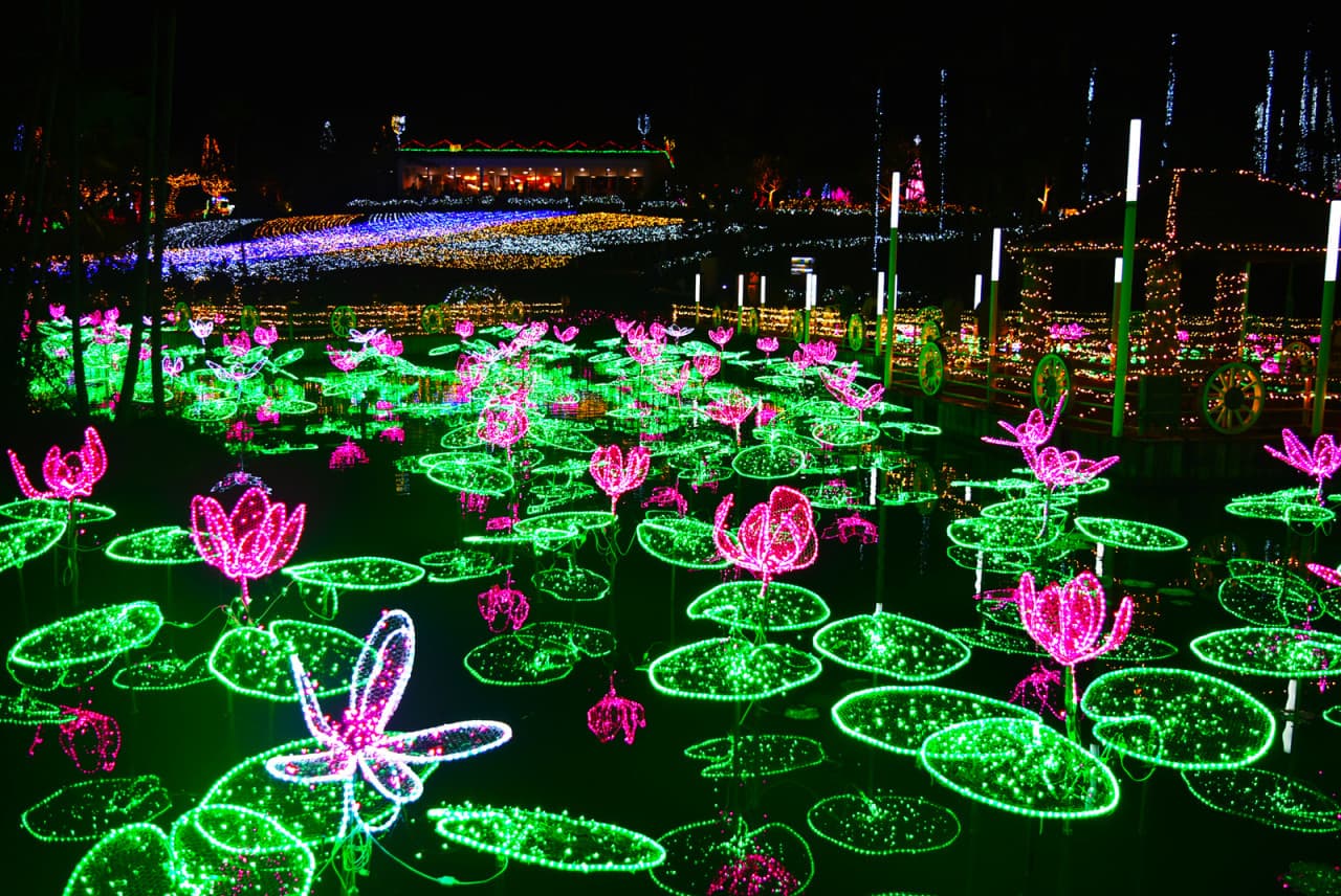 Okinawa Southeast Botanical Gardens – photo 16