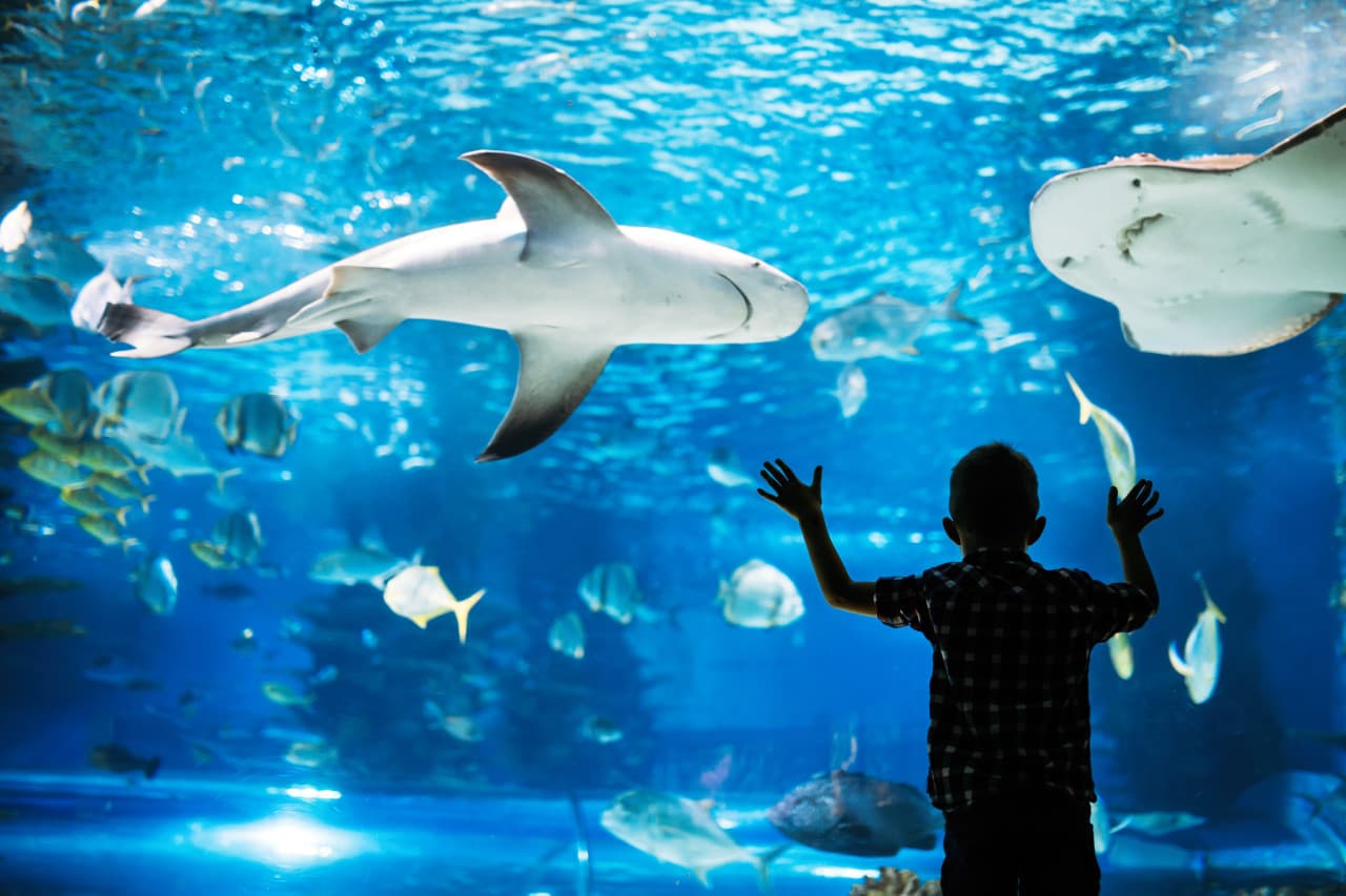 Go City Philadelphia All-Inclusive Pass: Save up to 50% on Attractions