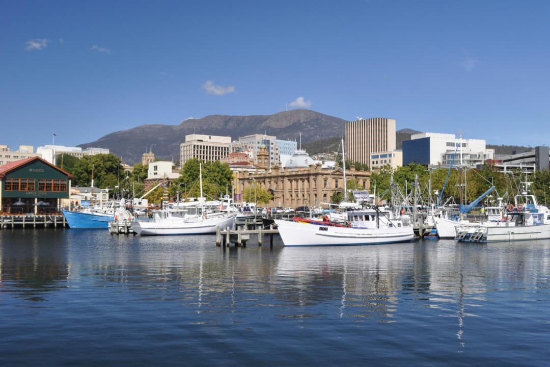 Mount Wellington and Hobart City Tour – photo 6