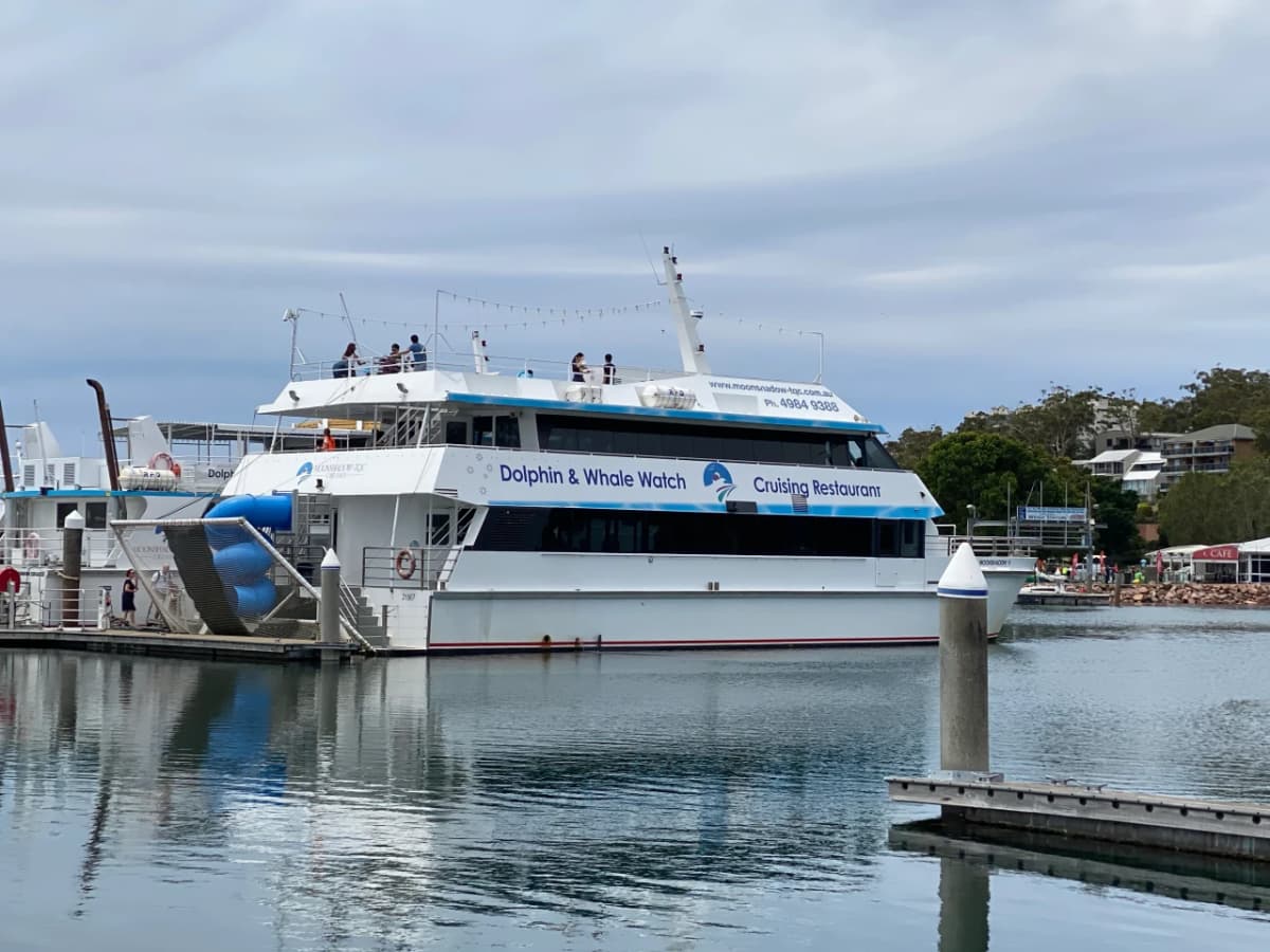 Port Stephens Dolphin Discovery Cruise