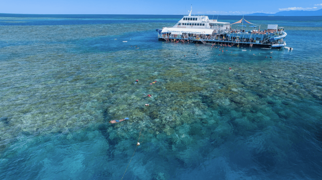 Great Barrier Reef Pontoon Full-Day Tour at Moore Reef – photo 12