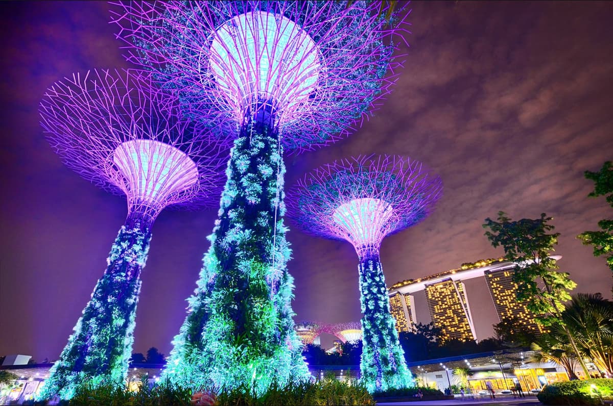 COMBO: Singapore Cable Car + Gardens by the Bay Ticket
