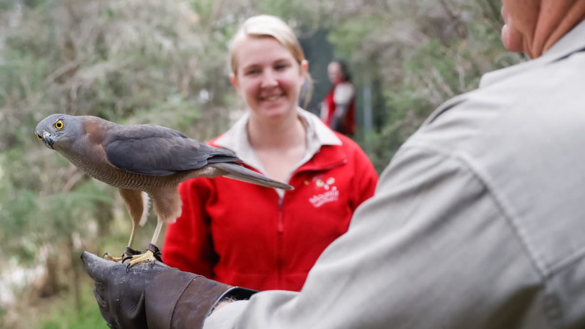 Moonlit Sanctuary Wildlife Conservation Park Ticket