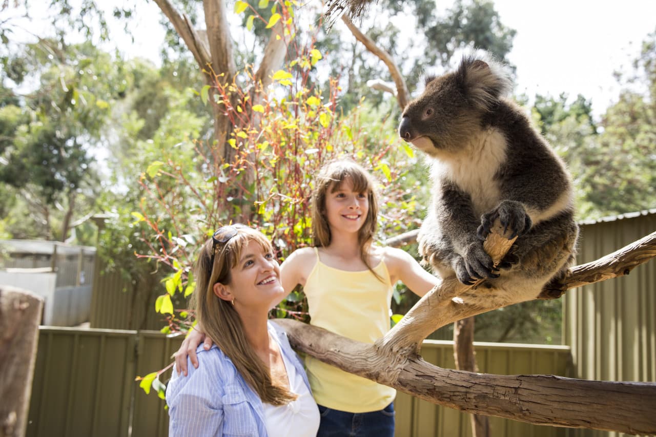 Kangaroo Island Tour from Adelaide – photo 8