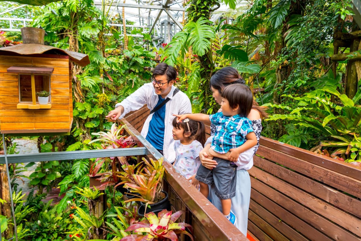 Okinawa Nago Pineapple Park