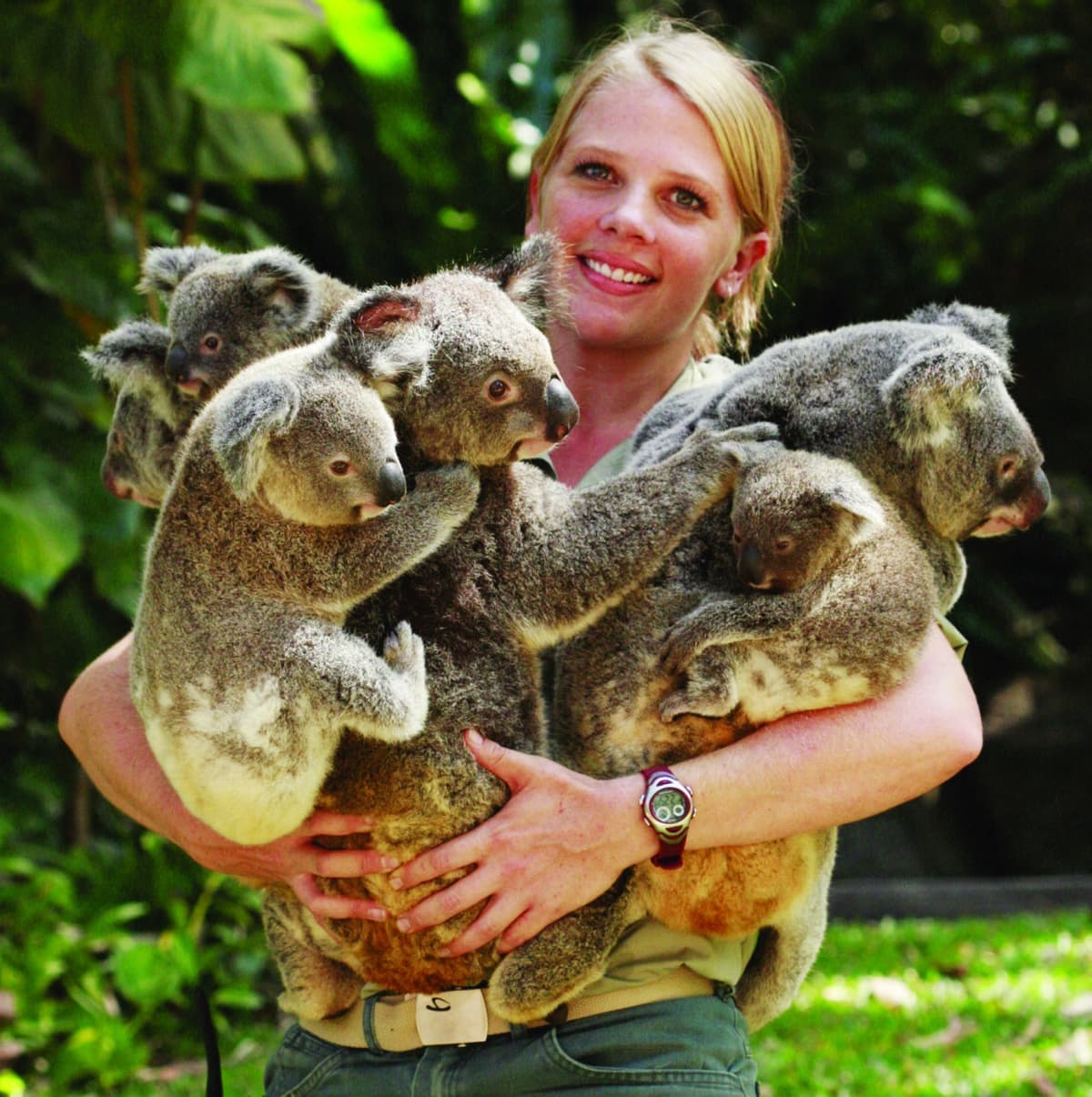 Kuranda Koala Gardens