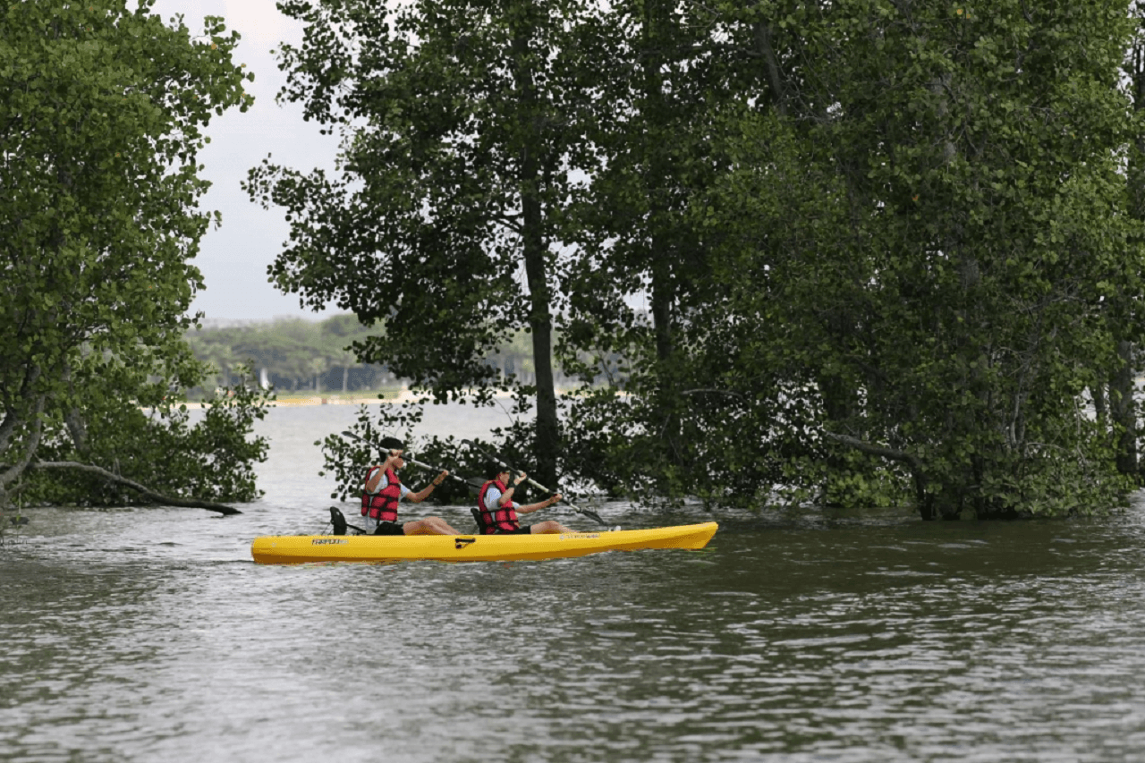 Pulau Ubin Kayaking – photo 24