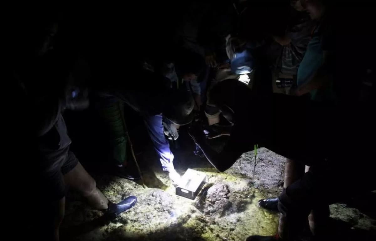 Houbi Lake Night Tour from Kenting