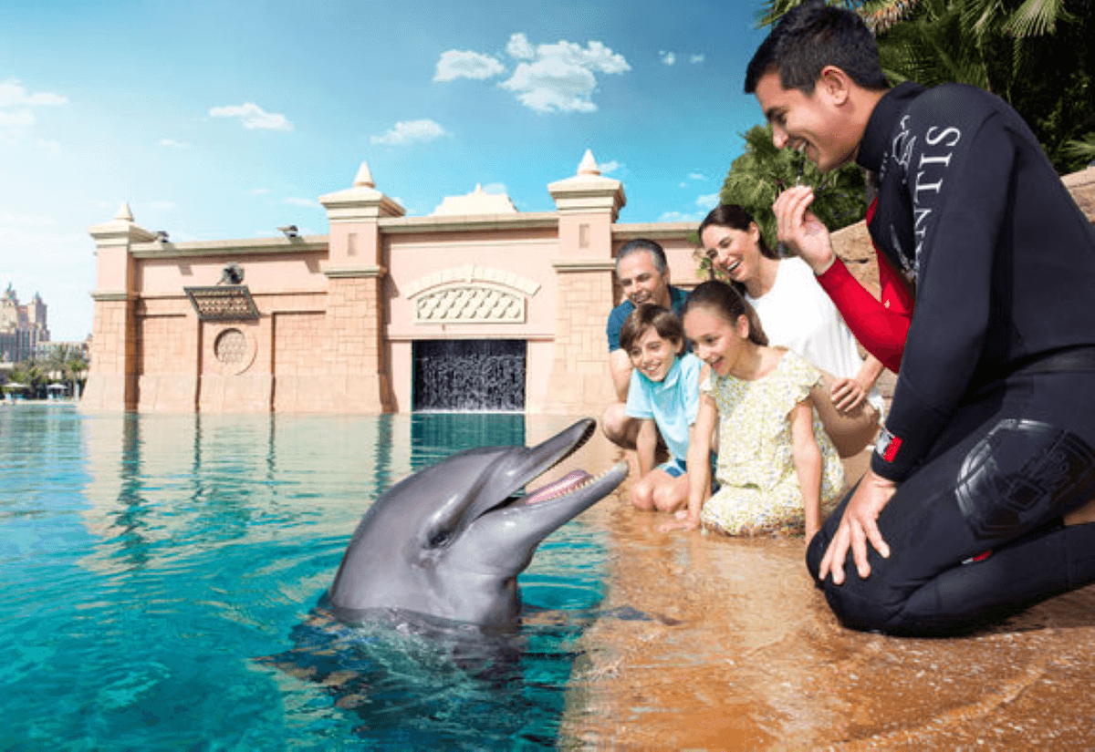 Atlantis Aquaventure World Dubai - Dolphin and Sea Lion Experiences at Atlas Village