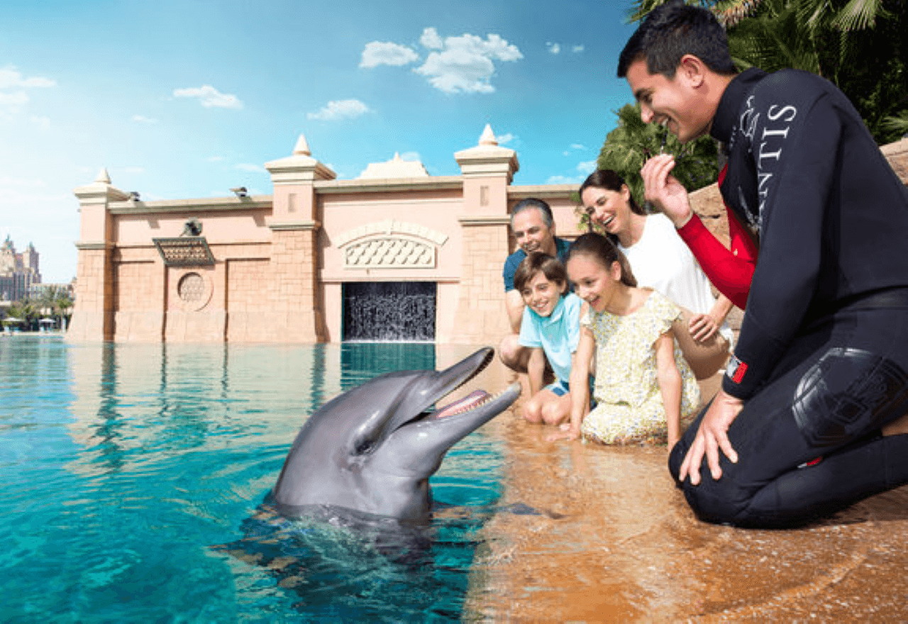 Atlantis Aquaventure World Dubai - Dolphin and Sea Lion Experiences at Atlas Village