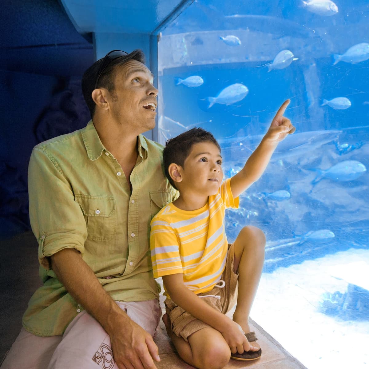 Sea Life Park Hawaii